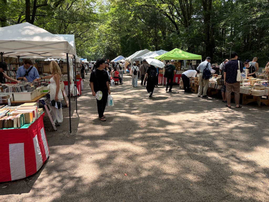 晴天の下鴨が戻ってきました。京都スターブックスです。