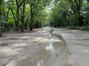 第38回下鴨納涼古本まつり無事終了いたしました。