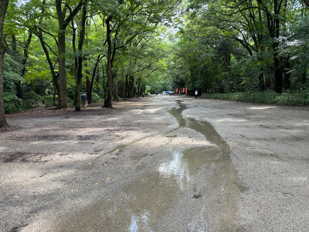 第38回下鴨納涼古本まつり無事終了いたしました。