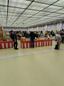 4日目開催中　玉城文庫です